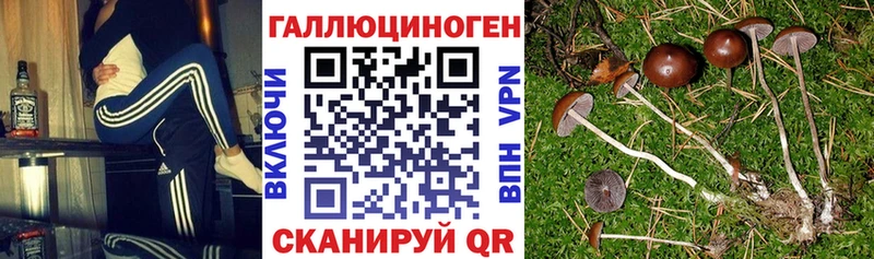 hydra сайт  Радужный  Галлюциногенные грибы Magic Shrooms 